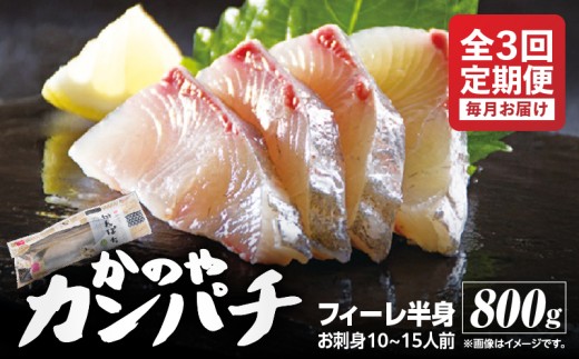 2141 【全3回定期便/毎月お届け】かのやカンパチ フィーレ半身(お刺身10~15人前) 800g KN001-T01