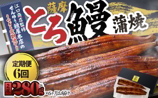 2174-1 [江口商店監修]薩摩とろ鰻蒲焼二尾 280g(140g×2)[6ヶ月定期] KN084-T02