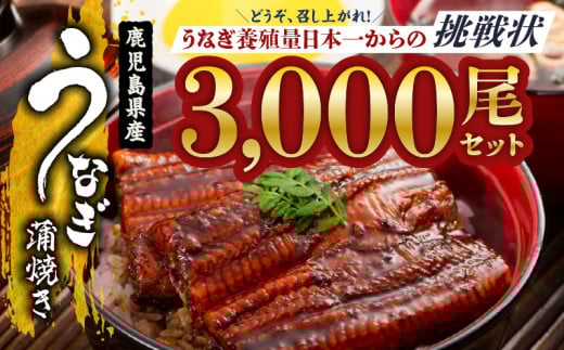 2626 どうぞ、召し上がれ!うなぎ養殖量日本一からの挑戦状!【うなぎ蒲焼き3000尾】 KN058-002-3000