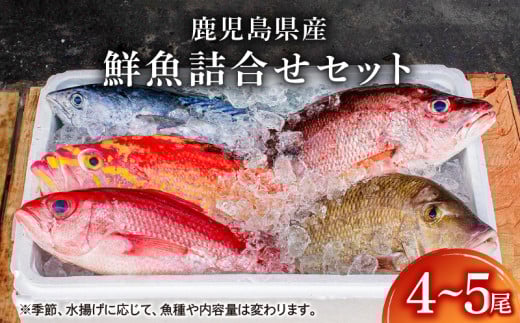 2531 鹿児島県産鮮魚詰合せセット(4~5尾) KN025-004-02