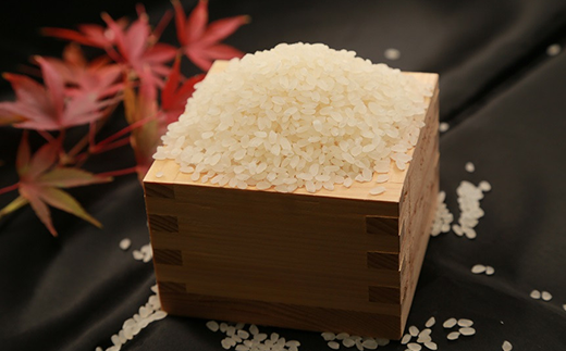 群馬県産コシヒカリ5kg