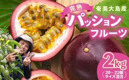 【2026年先行予約】完熟!南の島奄美のパッションフルーツ 2kg箱(20~22個サイズ混合) A151-001
