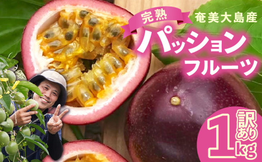 【2026年先行予約分】訳あり!完熟!南の島奄美のパッションフルーツ家庭用 1kg (傷物、色むらあり、サイズ混合) A151-002-02