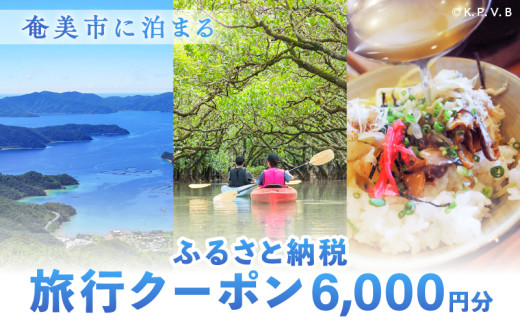 奄美市に泊まるふるさと納税旅行クーポン【6,000円分】 A184-002