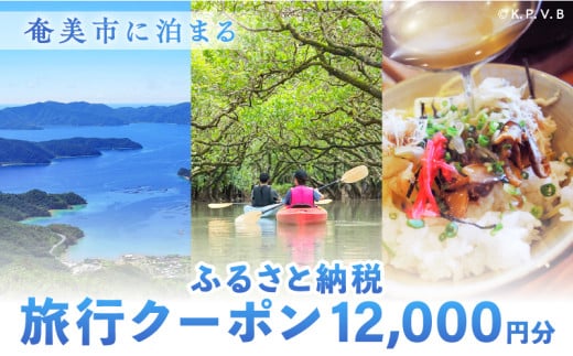 奄美市に泊まるふるさと納税旅行クーポン【12,000円分】 A184-004