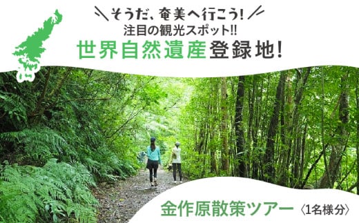金作原散策ツアー A183-001
