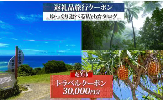 鹿児島県奄美市の対象施設で使えるJTA旅行クーポン(30,000円分) A188-001