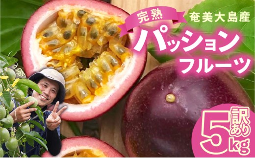 【2026年先行予約分】訳あり!完熟!南の島奄美のパッションフルーツ家庭用 5kg (傷物、色むらあり、サイズ混合) A151-002-03