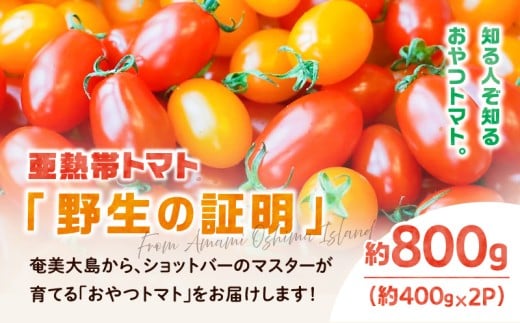 【2026年先行予約】亜熱帯トマト「野生の証明」約800g(約400g×2P) A021-002-01