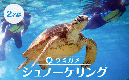 ウミガメシュノーケリング(2名様) A051-001