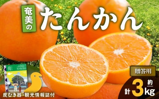 【2026年先行予約】奄美のたんかん贈答用 3kg(皮むき器・観光情報誌付) A052-022-02