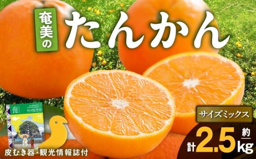 2026年産 奄美のたんかん サイズミックス2.5kg(皮むき器・観光情報誌付) A052-025