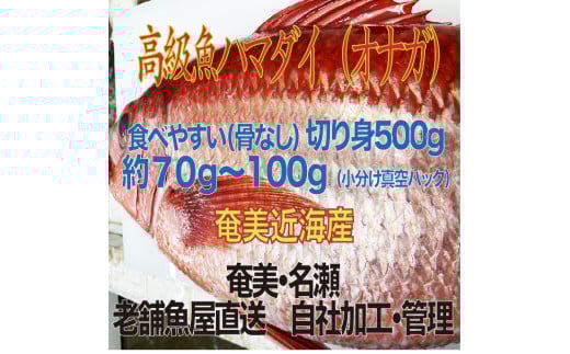高級魚「ハマダイ(オナガ)」切り身 500g(甘塩)奄美大島老舗鮮魚店が加工製造 A128-004