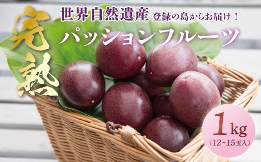 【2026年先行予約】《奄美大島産パッションフルーツ》家庭用1kg(12~15玉入り) A145-004