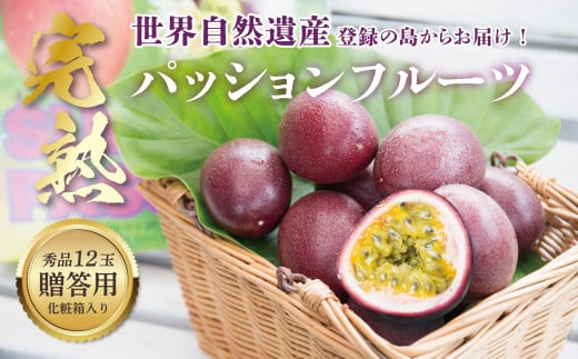 【2026年先行予約】《奄美大島産パッションフルーツ》贈答用化粧箱入り1kg(12玉入り) A145-005
