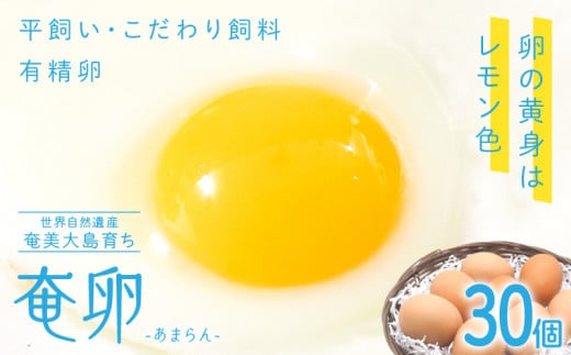 奄卵(あまらん)平飼い 有精卵 30個 A115-007
