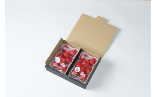 【2025年12月下旬～発送】谷中農園のいちご「 とちあいか 」約280g入（一粒約22g以上、5～9粒入り）×2パック | 果物 フルーツ いちご 栃木 ブランド 栃木県【フルーツ 果物 くだもの 食品 人気 おすすめ 】