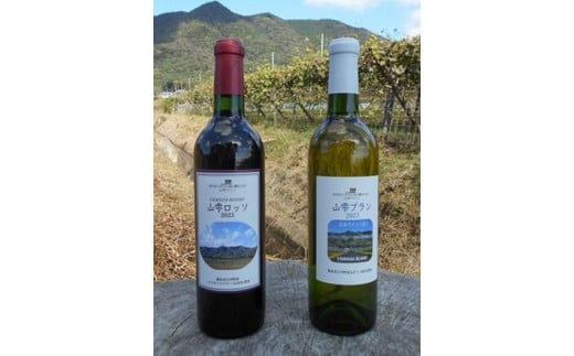 地元産ぶどう100％の赤・白ワイン２本セット（720ml各一本）【お酒 さけ 人気 おすすめ  ギフト】