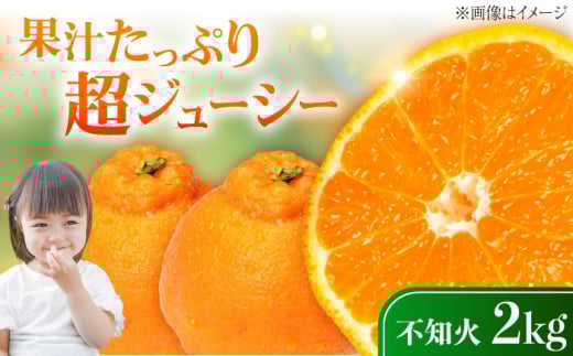 不知火 2kg しらぬい 小玉 デコポン 江田島市産 広島 果物 フルーツ ふるーつ みかん 蜜柑 柑橘 ミカン ギフト 贈り物 ビタミン 美容 健康 オレンジ 果肉 果物 お取り寄せ ギフト 果物 蜜柑 柑橘 ミカン ギフト 贈り物 お取り寄せ ギフト リピート ギフト プレゼント 贈答 人気 高品質 好評 広島県産 ハルテラス農園/江田島市 [XCX002]