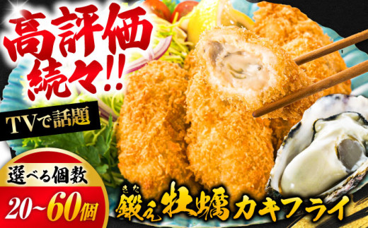 テレビで話題！広島県産 鍛え牡蠣 冷凍かきフライ 20粒×2袋 牡蠣 人気 料理 簡単 カキフライ おつまみ お弁当 お惣菜 おかず 江田島市/有限会社寺本水産[XAE016] 牡蠣 冷凍 むき身 殻付き 殻付 殻 かき カキ 生牡蠣 広島牡蠣 オイスター カキフライ 魚介類 魚介 貝類 海鮮 広島県産 国産 産地直送 贈答 ギフト 特産品