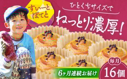 【全6回定期便】ねっとり濃厚！ひとくちサイズの スイートポテト 16個セット 芋 さつまいも サツマイモ さつま芋 スイーツ デザート おやつ 焼き菓子 甘い 国産 お取り寄せ 芋スイーツ ケーキ 洋菓子 手作り レシピ 簡単 リピート ギフト プレゼント 贈答 人気 高品質 好評 広島県産 江田島市/峰商事合同会社[XAD061]
