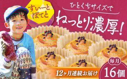 【全12回定期便】ねっとり濃厚！ひとくちサイズの スイートポテト 16個セット 芋 さつまいも サツマイモ さつま芋 スイーツ デザート おやつ 焼き菓子 甘い 国産 お取り寄せ 芋スイーツ ケーキ 洋菓子 手作り レシピ 簡単 リピート ギフト プレゼント 贈答 人気 高品質 好評 広島県産 江田島市/峰商事合同会社[XAD062]