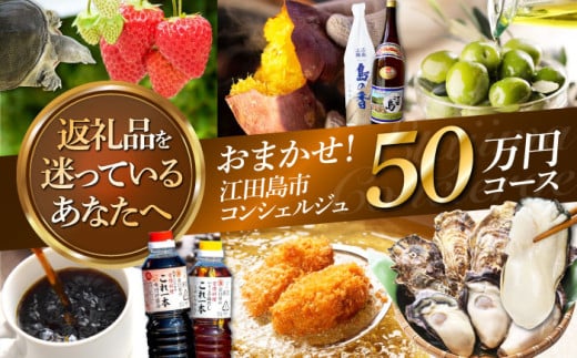 【江田島市コンシェルジュ】返礼品おまかせ！寄附額50万円コース ギフト カタログ あとから カタログ カタログギフト 牡蠣 カキ かき オリーブオイル 柑橘 カレー フルーツ さつまいも すっぽん スイーツ ケーキ 海鮮 カレー ギフト 駆け込み寄附 駆け込み寄付 [XZZ003]