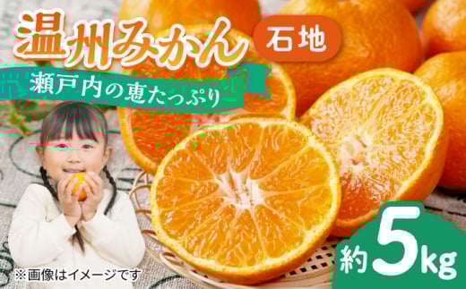 プロが見極めた食べ頃だけを厳選！温州みかん（石地 中生）5kg × 1箱 果物 フルーツ ふるーつ みかん 蜜柑 柑橘 冬 スムージー ヨーグルト オレンジ フルーツ ミカン ギフト 贈り物 ビタミン 美容 健康 お取り寄せ ギフト 果物 蜜柑 柑橘 ミカン ギフト 贈り物 お取り寄せ ギフト リピート ギフト プレゼント 贈答 人気 高品質 好評 広島県産 江田島市/小原農園[XCE002]
