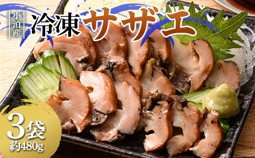 小泊産 冷凍サザエ真空パック 3袋(約480g) 【徐福の里物産品直売所】 さざえ 栄螺 貝 海鮮 BBQ 刺身 チルド F6N-129