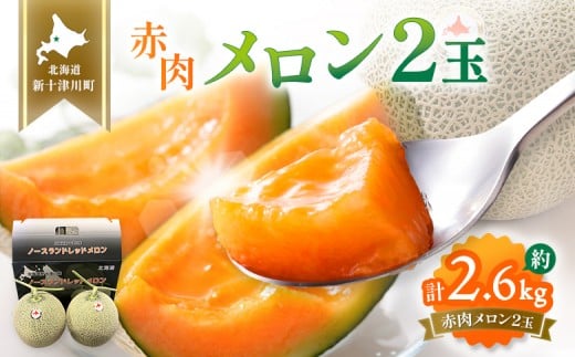 【先行予約】【数量限定】 赤肉メロン2玉【令和8年7月~8月上旬発送】| メロン 北海道 赤玉 セット詰め合わせ オンライン申請 オンライン ワンストップ マイページ デザート 果物 フルーツ 赤肉メロン 赤肉 ふるさと納税 北海道 新十津川 新十津川町【12031】
