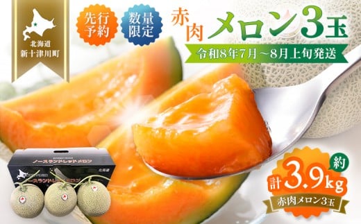 【先行予約】【数量限定】  赤肉メロン3玉【令和8年7月~8月上旬発送】| メロン 北海道 赤玉 セット詰め合わせ オンライン申請 オンライン ワンストップ マイページ デザート 果物 フルーツ 赤肉メロン 赤肉 ふるさと納税 北海道 新十津川 新十津川町【12032】