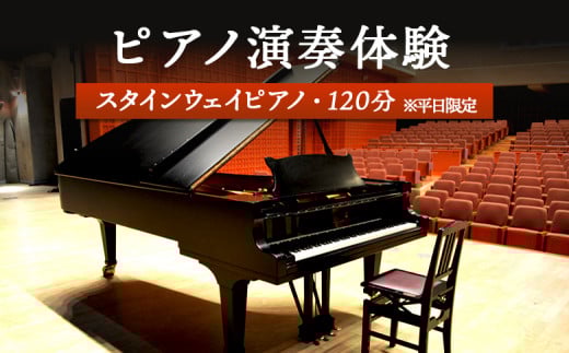 スタインウェイピアノ 試弾券 120分 平日限定 | オンライン 申請 ふるさと納税 北海道 新十津川 ピアノ スタンウェイピアノ ピアノ試弾券 体験 ピアノ体験 ピアノ弾き放題 新十津川町【2100101】