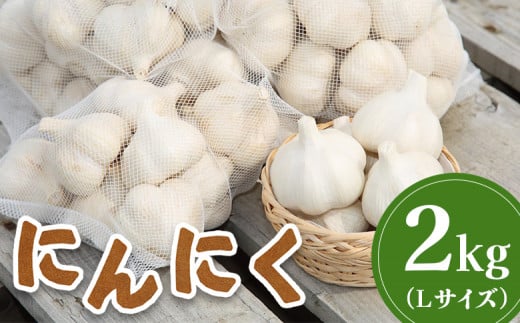 先行受付 にんにく 2kg (Lサイズ) | オンライン 申請 ふるさと納税 北海道 新十津川 北海道産 ニンニク L 大サイズ 訳あり 訳あり品 規格外品 大容量 肉厚 野菜 やさい スタミナ スタミナ野菜 新十津川町【1200401】
