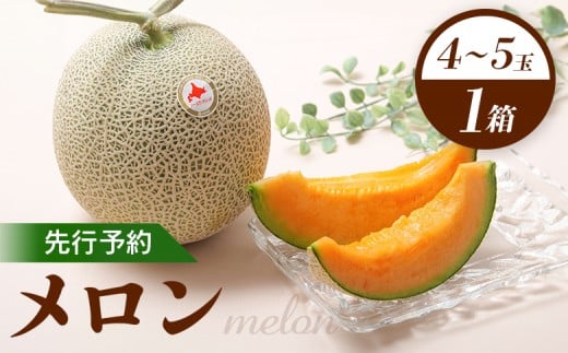 【先行予約】 赤肉メロン1箱(4~5玉) 【令和8年7月~8月上旬発送】 | 先行予約 メロン 北海道 赤玉 セット オンライン申請 オンライン ワンストップ マイページ デザート 果物 フルーツ 赤肉メロン 赤肉 ふるさと納税 北海道 新十津川 新十津川町【1201801】
