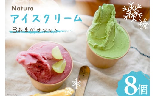 アイス ナチューラのアイスクリーム Bおまかせセット 8個入り  [ナチューラ 徳島県 北島町 29am0002] アイスクリーム スイーツ セット 詰め合わせ ジェラート