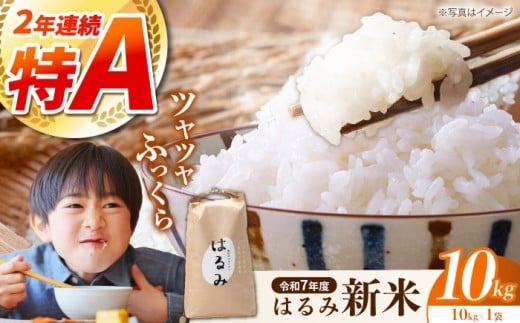 【年内発送】【令和7年度新米】【特Aランク受賞実績あり！】はるみ 10kg【遠藤ファーム】 新米 10kg 1袋 令和7年産はるみ コシヒカリ の遺伝子を引き継ぐ こしひかり キヌヒカリ 神奈川県産 精米 開成町 米 ご飯 白米 お米 特A 新米 こだわり 白米 こめ コメ お米 2025年産 おこめ 精米 R7 ご飯 ごはん R7 白飯 新米 ふるさと納税 [BDAF002]