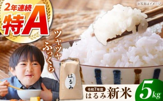 【年内発送】【令和7年度新米】【特Aランク受賞実績あり！】はるみ 5kg【遠藤ファーム】 新米 5kg 1袋 令和7年産はるみ コシヒカリ の遺伝子を引き継ぐ こしひかり キヌヒカリ 神奈川県産 精米 開成町 米 ご飯 白米 お米 特A 新米 こだわり 白米 こめ コメ お米 2025年産 おこめ 精米 R7 ご飯 ごはん R7 白飯 新米 ふるさと納税 [BDAF001]