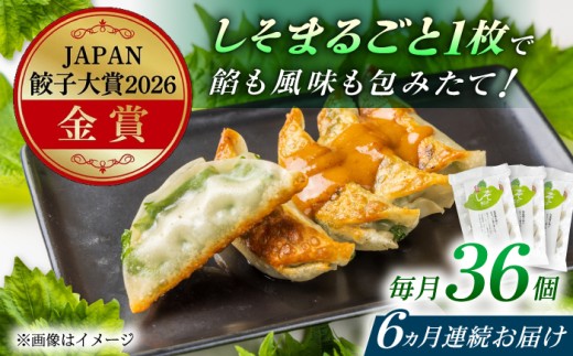 【全6回定期便】【3パック】＼JAPAN餃子大賞2026 金賞受賞／餃子屋ヒロの 人気のしそ餃子【餃子屋ヒロ】国産 肉 餃子 ぎょうざ ギョーザ ギョウザ 小分け 人気 餃子 おすすめ 餃子 冷凍 おかず おつまみ 名店 ご当地グルメ 神奈川県 開成町 [BDAS011]