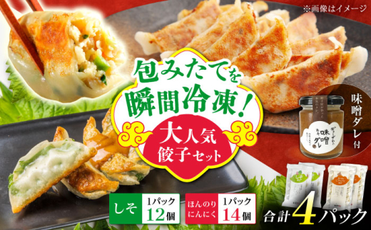 【年内発送】【計4パック】餃子屋ヒロの大人気餃子セット＋特製味噌ダレ付【餃子屋ヒロ】開成町 餃子 点心 惣菜 冷凍 [BDAS009-2]