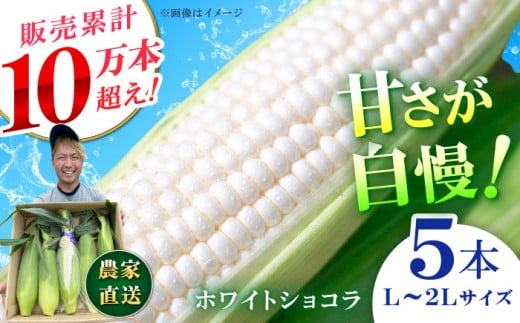 【先行予約】【数量限定】白いとうもろこし ホワイトショコラ 5本【文命農業】開成町 野菜 とうもろこし トウモロコシ ホワイトショコラ [BDAX001]
