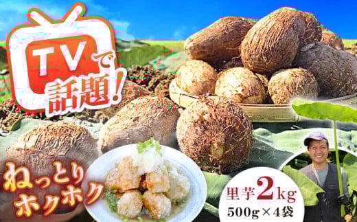 【先行予約】【メディア多数掲載！開成弥一芋】ホクホクねっとりやわらか〜い里芋 2キロ【文命農業】開成町 サトイモ さといも 野菜 [BDAX002]