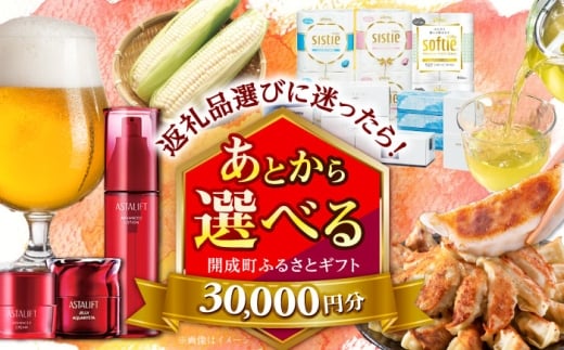 【あとから選べる】開成町ふるさとギフト 3万円分 あとから寄附 選べる寄附 ティッシュ トイレットペーパー 化粧品 餃子 お茶 日本酒 定期便 神奈川 開成町 [BDZZ001]