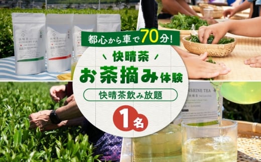 【ランチなし】「快晴茶」お茶摘み体験チケット [BDAT007]