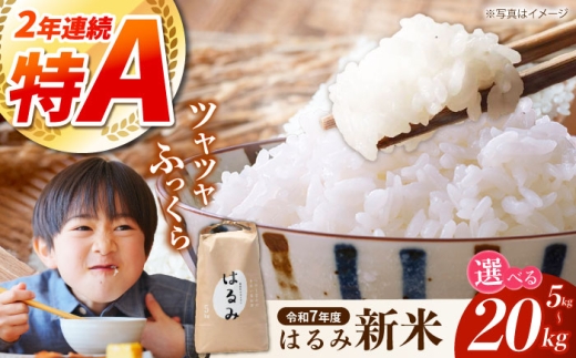 【先行予約】【特Aランク受賞実績あり！】はるみ 5kg【遠藤ファーム】開成町 米 ご飯 白米 お米 特A [BDAF005]