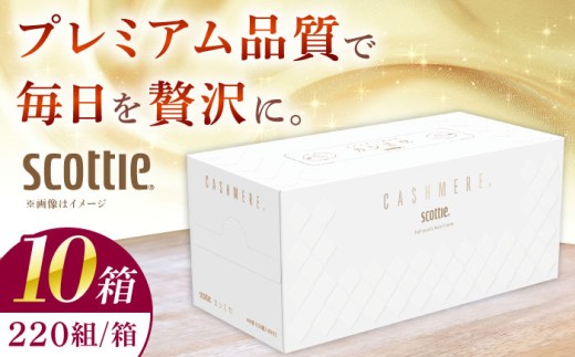 ティッシュ スコッティ カシミヤ 10箱 (1箱 220組(440枚)) [日本製紙クレシア株式会社]ティッシュ ティッシュペーパー ボックスティッシュ てぃっしゅ 日用品 まとめ買い 消耗品 防災 備蓄 神奈川県 開成町 K03 [BDAM020]