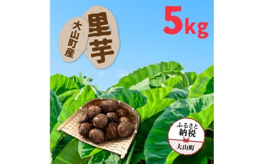 TY-02  大山町産里芋5kg