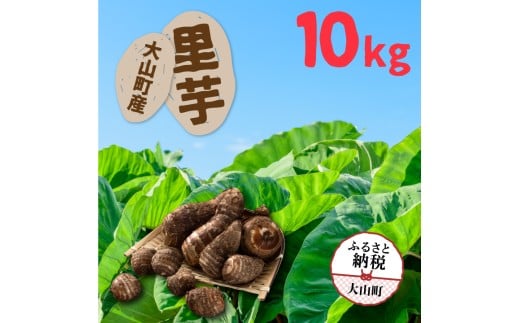 TY-03  大山町産里芋10kg