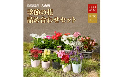 MS-80 季節の花の詰め合わせ【10月以降発送】
