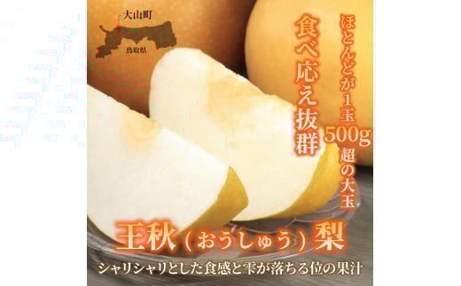 【先行予約】DS-08 王秋梨(おうしゅうなし)(5kg)