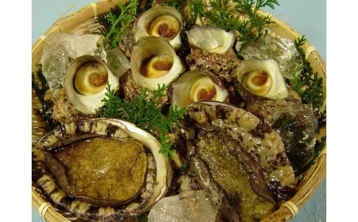 OM-09 サザエ(1kg)とアワビ(300g)セット(生)